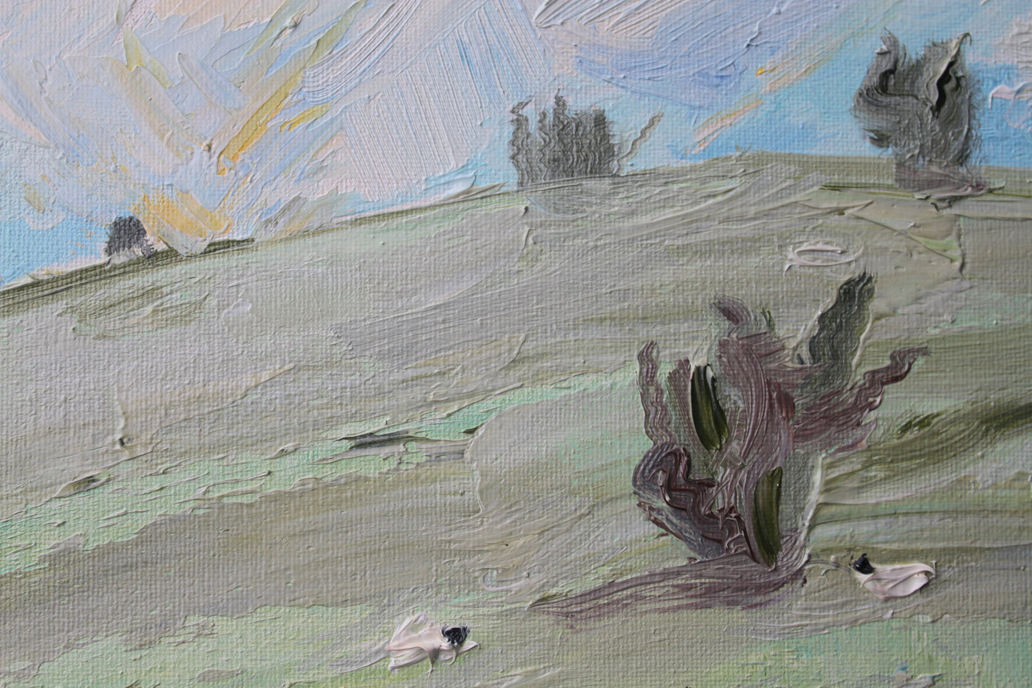 A Shepard's Pasture